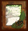 Mexican Redknee Tarantula mirror